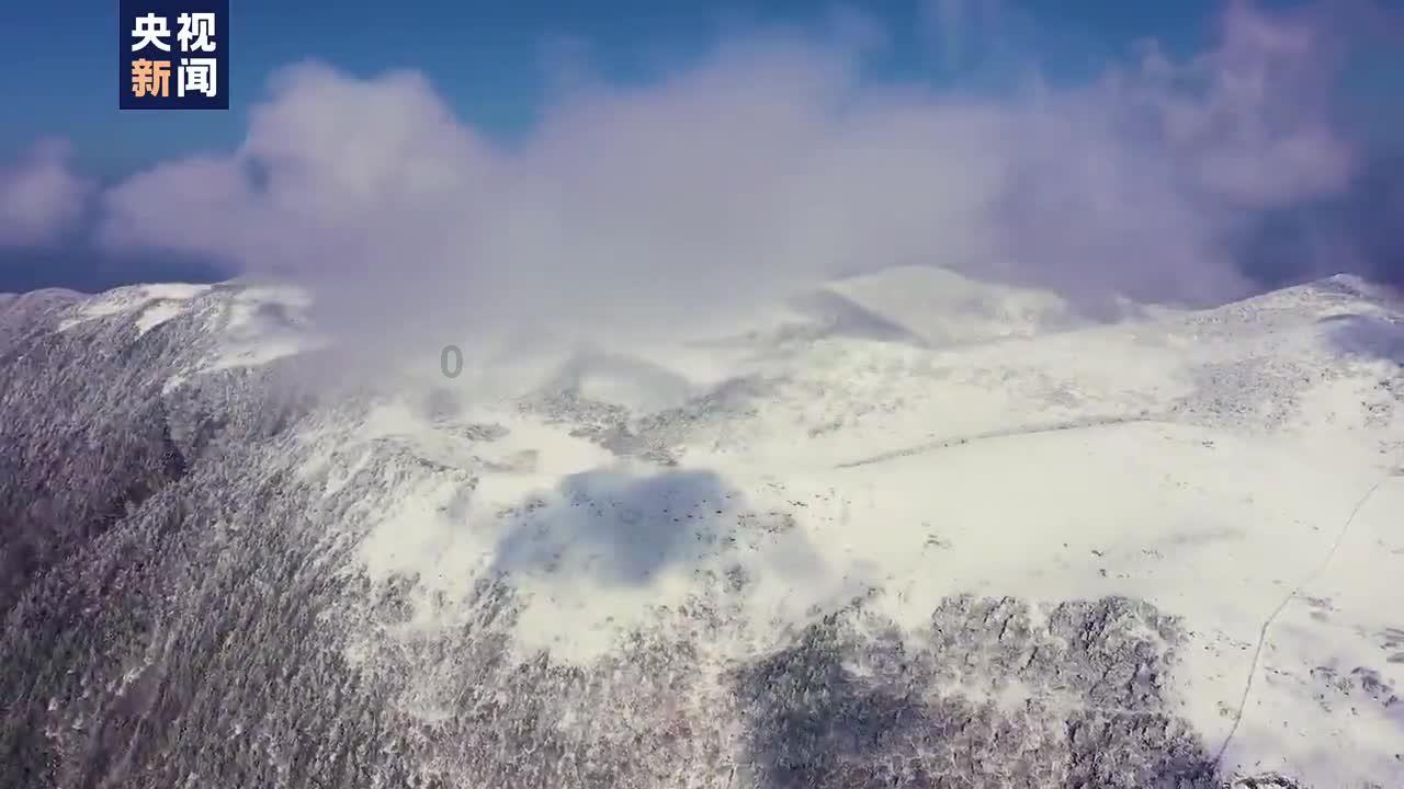 组装机械恐龙3