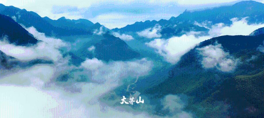 腐烂国度